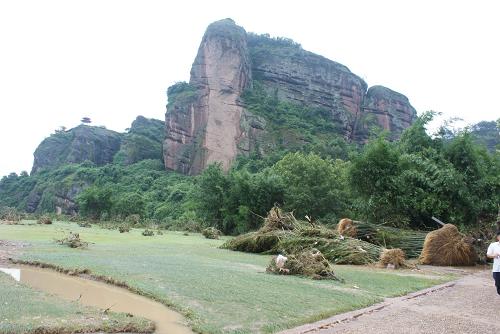 江西龍虎山景區(qū)內(nèi)洪水退去,許多竹子被洪水連根拔起(6月21日攝)。6月20日,江西鷹潭市龍虎山景區(qū)遭遇特大洪水襲擊,景區(qū)內(nèi)蘆溪河河水暴漲,淹沒(méi)了景區(qū)內(nèi)著名的天師府和上清古鎮(zhèn)。強(qiáng)降雨同時(shí)還造成部分山體滑坡。在上游水文局發(fā)出警告后,龍虎山景區(qū)在兩小時(shí)內(nèi)將危險(xiǎn)地帶群眾中的2.3萬(wàn)人安全轉(zhuǎn)移,并對(duì)被圍困的群眾進(jìn)行積極施救。新華社發(fā)(劉斯武 攝)