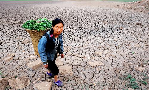 貴州省普安縣郊外的一個池塘已經(jīng)完全干涸,一位村民在池塘邊割草(3月5日攝)。新華社記者劉續(xù)攝