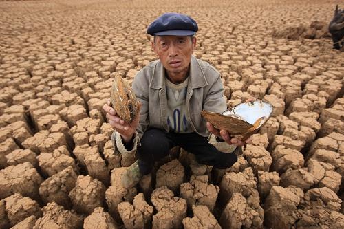 云南陸良縣大莫古鎮(zhèn)德格海子徹底干枯,55歲的當地農民老馮對記者說,連河蚌都干死了(2009年4月1日攝)。自2009年8月以來,陸良縣遭遇了100年未遇的特旱,小春作物受災面積高達99%,有“滇東糧倉”美譽的陸良縣,小春作物基本絕收。 每年的10月16日,是聯(lián)合國確立的世界糧食日。今年世界糧食日的主題是“團結起來,戰(zhàn)勝饑餓”。此刻,在這個地球上,還有近10億人無法擺脫饑餓。 喚醒饑餓的記憶,不是為了咀嚼痛苦,而是要長存憂患,行動起來,讓饑餓永遠從世界上消失! 新華社記者 王建民 攝
