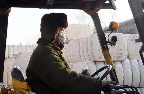 11月21日,在新疆烏魯木齊北站兵團棉麻公司儲備庫,一名工作人員駕車運棉裝車。新華社發(fā)(張秀科 攝)