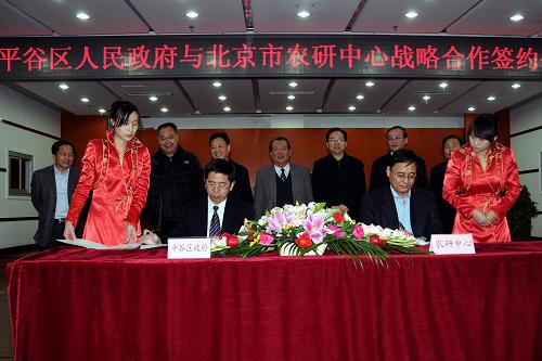 11月24日,北京市農(nóng)村經(jīng)濟(jì)研究中心與北京市平谷區(qū)政府簽署戰(zhàn)略合作協(xié)議,雙方將在“十二五”期間共同推進(jìn)“平谷區(qū)農(nóng)村經(jīng)濟(jì)發(fā)展創(chuàng)新研究試驗(yàn)區(qū)”的建設(shè)。 根據(jù)協(xié)議,北京市農(nóng)村經(jīng)濟(jì)研究中心與北京市平谷區(qū)政府將共同推進(jìn)城鄉(xiāng)一體化的戰(zhàn)略、路徑和政策研究與試點(diǎn);推進(jìn)農(nóng)村資源、農(nóng)村集體資產(chǎn)配置的市場(chǎng)化和農(nóng)村集體資產(chǎn)管理的信托化管理試點(diǎn);開(kāi)展民主政治基礎(chǔ)上的鄉(xiāng)村治理結(jié)構(gòu)和運(yùn)行機(jī)制研究;推進(jìn)農(nóng)村信息化建設(shè)的試點(diǎn);推進(jìn)農(nóng)民專業(yè)合作社服務(wù)體系的建設(shè);推進(jìn)區(qū)域經(jīng)濟(jì)國(guó)際化,開(kāi)展國(guó)際資金、裝備、技術(shù)、品種的引進(jìn)、對(duì)接和項(xiàng)目落地的交流工作。 新華社記者 劉浦泉 攝