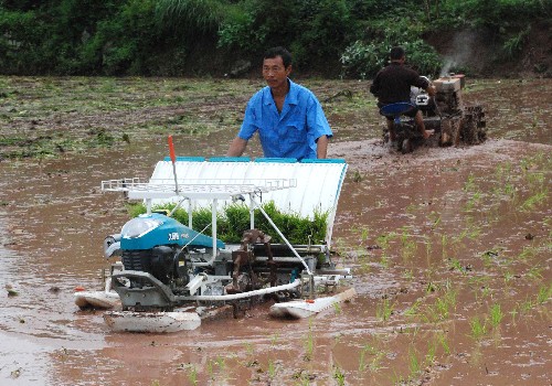 6月14日,休寧縣農(nóng)業(yè)部門聘請的技術(shù)人員為渭橋鄉(xiāng)上寅村的受災(zāi)群眾免費(fèi)補(bǔ)植秧苗。 6月8日至11日,安徽休寧連遭暴雨襲擊,農(nóng)業(yè)遭受損失。災(zāi)情發(fā)生后,休寧縣農(nóng)業(yè)部門從外地緊急調(diào)運(yùn)一批秧苗和農(nóng)機(jī),免費(fèi)為全縣1100畝絕收農(nóng)田補(bǔ)植秧苗,減少農(nóng)民損失,幫助農(nóng)民恢復(fù)生產(chǎn)。 新華社發(fā)(黃俊軍 攝)