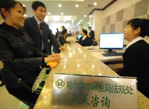10月17日,市民在哈爾濱市林權(quán)流轉(zhuǎn)活立木交易中心內(nèi)向工作人員咨詢政策。 新華社記者 王建威 攝