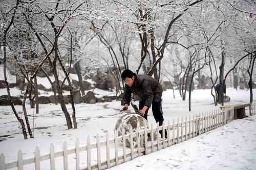 2月8日,一位太原市民在滾雪球。當(dāng)日,山西省太原市降下立春之后的第一場(chǎng)雪。 新華社記者 葉健 攝