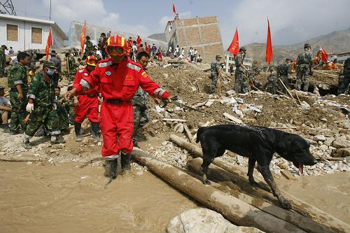 8月10日,中國(guó)國(guó)家地震救援隊(duì)帶著搜救犬搜尋幸存者。新華社發(fā)(亮亮 攝)