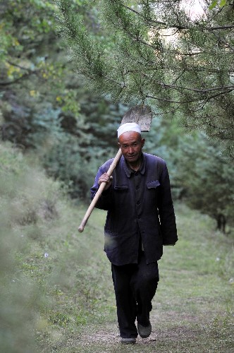 護(hù)林員于萬(wàn)海在巡山的路上(9月5日攝)。 今年52歲的寧夏涇源縣臥龍山景區(qū)回族護(hù)林員于萬(wàn)海20年堅(jiān)持不懈護(hù)林造林,以山為家,以林為友,在540多畝的山地上種下了6萬(wàn)棵各類樹(shù)木。昔日植被稀疏、名不見(jiàn)經(jīng)傳的臥龍山如今成為樹(shù)木豐茂的綠色山林,并被當(dāng)?shù)卣_(kāi)發(fā)為旅游景區(qū)。景區(qū)成立后,于萬(wàn)海又承擔(dān)起看護(hù)景區(qū)、清理垃圾的工作。看著自己護(hù)理的旅游景區(qū)滿眼綠色,于萬(wàn)海引以為豪。 新華社記者 王鵬 攝