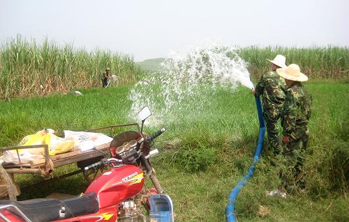 來賓市興賓區(qū)正龍鄉(xiāng)農(nóng)民從幾公里外抽水抗旱(9月12日攝)。今年以來,廣西來賓市降雨總量僅為944毫米,比歷年同期平均值減少25.4%。全市有171萬畝農(nóng)作物受災(zāi),近30萬人和18萬頭大牲畜發(fā)生飲水困難。目前,全市已投入資金1300多萬元,采取各種手段抗旱。新華社記者 何豐倫 攝