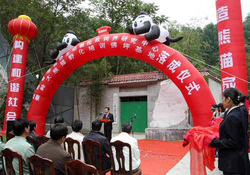 9月16日,陜西省珍稀野生動物搶救飼養(yǎng)研究中心設(shè)立的秦嶺大熊貓野化培訓(xùn)基地在陜西省佛坪縣落成,秦嶺大熊貓野化培訓(xùn)實驗研究正式啟動。陜西省珍稀野生動物搶救飼養(yǎng)研究中心精心選定的兩雌一雄共3只圈養(yǎng)大熊貓已入住秦嶺大熊貓野化培訓(xùn)基地,這3只大熊貓正處于最適合野化培訓(xùn)的年齡段,將在完全模擬自然生存的環(huán)境中開始全新的生活。新華社發(fā)(吳燕峰 攝)