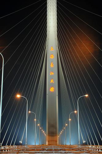 10月18日,夜幕下的上海長(zhǎng)江大橋主橋塔在燈光的映襯下更顯雄偉。當(dāng)晚,在橫跨長(zhǎng)興島和崇明島的上海長(zhǎng)江大橋上,1200多盞路燈全面亮起,試燈成功。冷暖燈光交相輝映,展現(xiàn)出“雙塔奇觀”的美景。新華社發(fā)