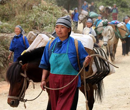 4月1日,瑤族女子馬幫隊(duì)趕著馬匹去山里的水源處取水。廣西百色市凌云縣伶站瑤族鄉(xiāng)初化村弄料屯有一支由當(dāng)?shù)貗D女自發(fā)組成的抗旱找水瑤族女子馬幫隊(duì)。自2009年10月以來,她們天天趕著馬匹,到離家10多公里的山上找水、取水,解決自家用水問題。新華社發(fā)(唐輝吉 攝)