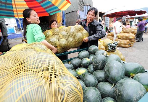 5月14日,個(gè)體經(jīng)營(yíng)戶在廣西柳州市柳邕農(nóng)副產(chǎn)品批發(fā)市場(chǎng)批發(fā)西瓜。這里每天批發(fā)西瓜近400噸,銷往柳州市各市場(chǎng),批發(fā)價(jià)為每公斤1.2元至3元。目前,廣西春季西瓜開始大批上市。廣西是我國(guó)西瓜上市較早的產(chǎn)區(qū)之一,從4月開始一直到12月都有西瓜上市。2010年廣西春季西瓜種植面積達(dá)160多萬(wàn)畝,預(yù)計(jì)產(chǎn)量200萬(wàn)噸。新華社記者 李斌 攝