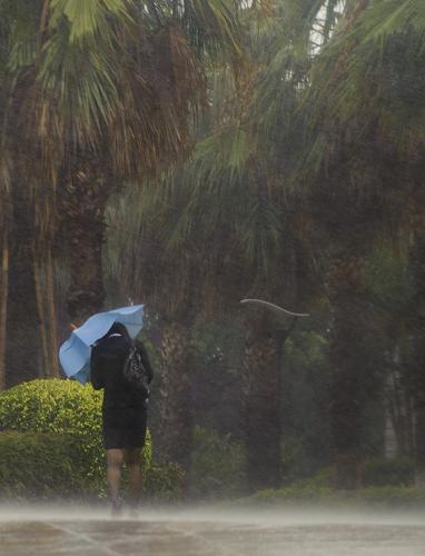 10月23日,廈門(mén)市區(qū)一位市民頂風(fēng)冒雨在街道上行走。新華社記者姜克紅攝