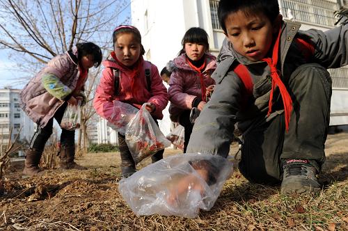 3月3日,河南省鶴壁市福田小學的學生在居民小區(qū)撿拾垃圾。新華社發(fā)(李國慶 攝)