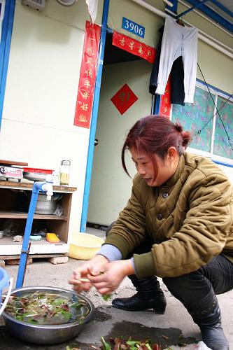 1月26日,住在什邡紅白鎮(zhèn)板房小區(qū)的葉福蓉正在準備晚飯。她說:“過年了,發(fā)米發(fā)肉發(fā)對聯(lián),舞龍舞獅鬧新年,生活很好。我希望今年能建好新房,好把兒媳婦娶回來。”新華社記者 黃艷 攝