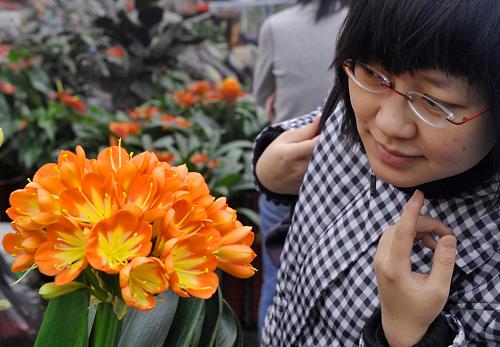 1月28日,市民在烏魯木齊市明珠花卉市場(chǎng)選購(gòu)鮮花。牛年新春,烏魯木齊市最大的鮮花市場(chǎng)——明珠花卉市場(chǎng)生意興隆,不少市民來此購(gòu)買鮮花裝點(diǎn)家居或贈(zèng)送親友。新華社記者 趙戈 攝