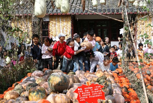 9月30日,南通市港閘區(qū)鶴濤小學(xué)學(xué)生在“農(nóng)家樂”樂園參觀豐收的南瓜。