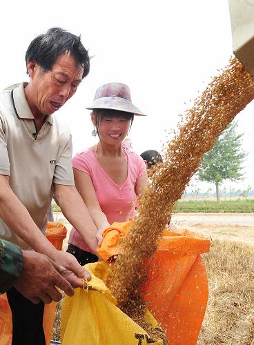 這是河南省臨潁縣七里南村的農(nóng)民在盛裝小麥(6月1日攝)。新華社記者 王頌 攝