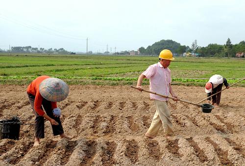 3月6日,廣西欽州市康熙嶺鎮(zhèn)白沙村農民張秉富一家在田間播種花生。新華社記者張愛林攝