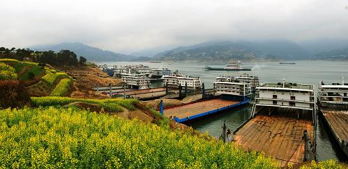 3月6日,幾艘貨輪行駛在三峽大壩上游秭歸銀杏沱水域。新華社發(fā)(鄭家裕 攝)