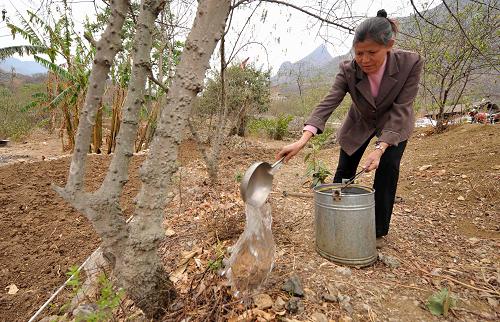 4月1日,在貴州省關(guān)嶺縣板貴鄉(xiāng),農(nóng)民蔣明翠正在給瀕臨枯死的花椒樹澆水。新華社記者 楊楹 攝