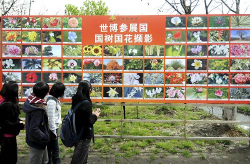 4月2日,游客在上海植物園參觀花展。當日,以“世博‘卉’,匯世界花卉”為主題的2010上?;ㄕ乖谏虾V参飯@開幕,來自13個舉辦過世博會的國家和100多個上海世博會參展國的國樹、國花成為本屆花展的最大亮點。據(jù)悉,2010年上海花展將從4月2日持續(xù)至5月10日,在此期間,游客將觀賞到來自世界各地超過3000個品種的上百萬株花卉。新華社發(fā)(張金橋 攝)