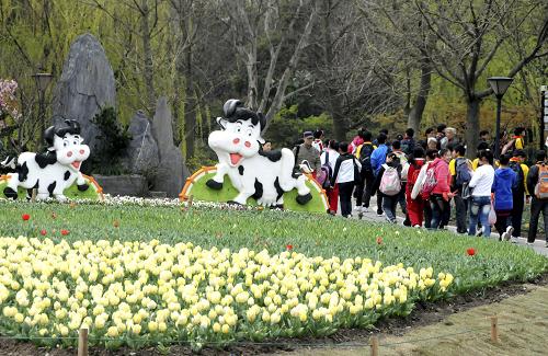 4月2日,游客在上海植物園參觀花展。新華社發(fā)(張金橋 攝)