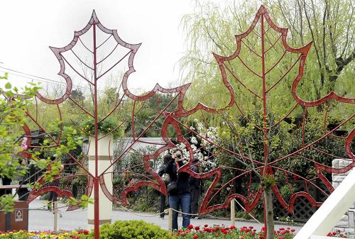 4月2日,游客在上海植物園參觀花展。新華社發(fā)(張金橋 攝)