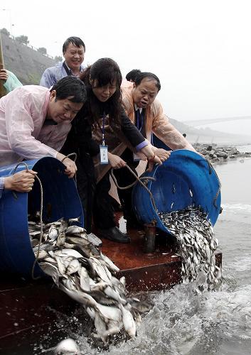 4月22日,志愿者將魚苗放入長江中。新華社記者 陳誠 攝