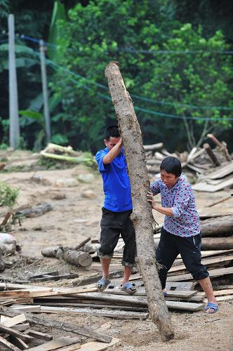 6月16日,在廣西蒼梧縣沙頭鎮(zhèn)雙尚村,村民在搬運木材。新華社記者 黃孝邦 攝
