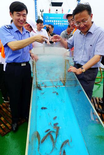 7月4日,農業(yè)部東海區(qū)漁政局與浙江省海洋與漁業(yè)局工作人員進行增殖魚放流。新華社記者 魏培全 攝