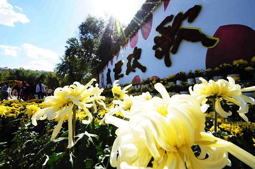 9月22日,市民在菊花展上觀賞菊花。