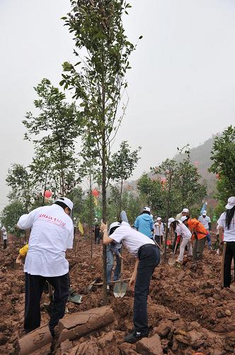 10月8日,在重慶市江北區(qū)五寶鎮(zhèn)下灣村,干部群眾在植樹。新華社記者陳誠攝