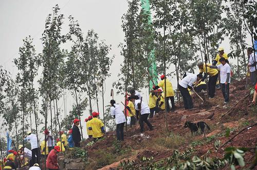 10月8日,在重慶市江北區(qū)五寶鎮(zhèn)下灣村,干部群眾在植樹。新華社記者陳誠攝