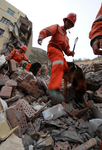 5月17日,救援人員牽著搜救犬在坍塌的住宅樓間搜救。新華社記者 韓傳號 攝
