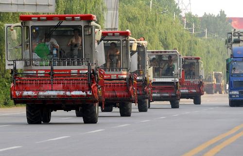 6月5日,河南省商丘市迎來參加小麥機收“會戰(zhàn)”的聯(lián)合收割機。新華社發(fā)(崔申義 攝)