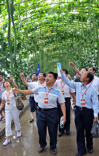 7月23日,中華全國(guó)總工會(huì)組織的勞模在北戴河集發(fā)農(nóng)業(yè)觀光園里的“絲瓜長(zhǎng)廊”參觀。 新華社記者 何俊昌 攝