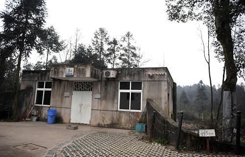 這是大熊貓“泰山”將入住的館舍外景(2月3日攝)。深受美國民眾喜愛的大熊貓“泰山”將于2月5日回到家鄉(xiāng)四川。中國保護(hù)大熊貓研究中心和成都大熊貓繁育研究基地的工作人員為此緊張而有序地做著準(zhǔn)備工作。目前,準(zhǔn)備工作基本完成。“泰山”回到雅安碧峰峽基地后,將在板房圈舍內(nèi)度過為期1個月的隔離檢疫期。該圈舍位于碧峰峽基地的碧潭板房圈舍區(qū)域,舍內(nèi)面積約30平方米,舍外活動場有100平方米,環(huán)境安靜、條件舒適。新華社記者 陳燮 攝