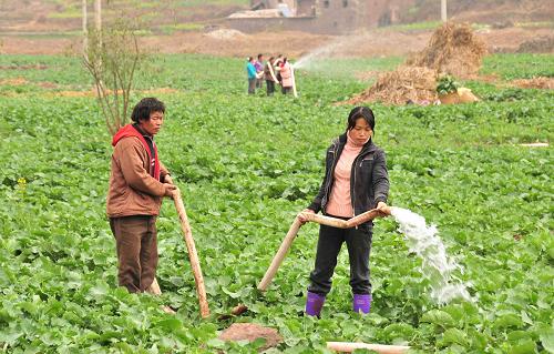2月3日,云南省彝良縣蕎山鄉(xiāng)咪咡村村民在抗旱保苗。自去年底以來,云南省彝良縣境內氣溫持續(xù)偏高、降雨偏少,導致全縣各鄉(xiāng)鎮(zhèn)不同程度遭受旱災。彝良縣按照優(yōu)先保人畜飲水和主要農作物灌溉的原則,指導群眾開展生產自救。截至目前,全縣已投入縣、鄉(xiāng)、村技術人員1300余人次參加救災。新華社發(fā)(彭洪 攝)