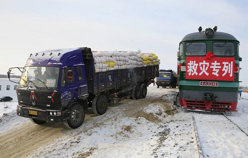 2月4日,從援疆飼草運(yùn)輸專列上卸下的草料被裝上卡車,準(zhǔn)備運(yùn)往阿勒泰地區(qū)各縣市。當(dāng)日,農(nóng)業(yè)部從甘肅協(xié)調(diào)調(diào)運(yùn)的首批1200噸援疆飼草運(yùn)抵新疆阿勒泰地區(qū)福?;疖囌尽_@批飼草將充實(shí)當(dāng)?shù)氐娘暡萘蟽?chǔ)備庫(kù),以緩解因大雪、寒潮天氣導(dǎo)致當(dāng)?shù)啬敛荻倘钡那闆r。新華社發(fā)(葉爾江 攝)