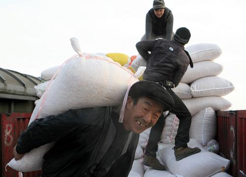 2月4日,人們將剛運(yùn)抵阿勒泰福海縣的援疆飼草裝車,準(zhǔn)備轉(zhuǎn)運(yùn)至各受災(zāi)縣市。新華社發(fā)(葉爾江 攝)