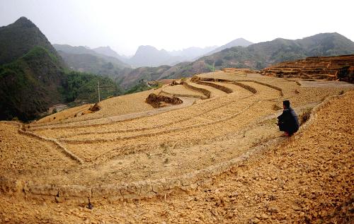 3月16日,廣西東蘭縣隘洞鎮(zhèn)廷懷屯農(nóng)民張益寧在自己的承包田里等候降雨搶種。新華社記者 張愛林 攝