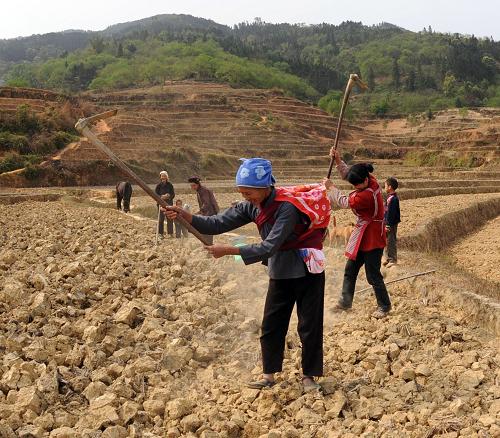 廣西東蘭縣隘洞鎮(zhèn)廷懷屯農(nóng)民在平整土地等候降雨搶種(3月16日攝)。新華社記者 張愛林 攝