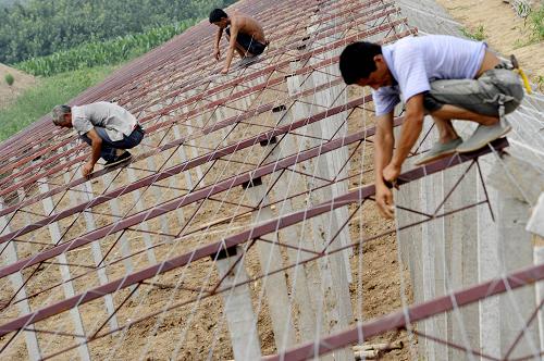 7月27日,山西省新絳縣東木贊村菜農(nóng)在建設(shè)蔬菜大棚。目前,山西省已經(jīng)啟動(dòng)百萬(wàn)畝設(shè)施蔬菜計(jì)劃,力爭(zhēng)到“十二五”末期,新增設(shè)施蔬菜面積100萬(wàn)畝,建成蔬菜標(biāo)準(zhǔn)園200個(gè),總面積達(dá)到240萬(wàn)畝,基本扭轉(zhuǎn)蔬菜供應(yīng)以外調(diào)為主的現(xiàn)狀。據(jù)了解,山西省冬季蔬菜供應(yīng)60%需要從外省調(diào)入,一旦蔬菜運(yùn)輸受阻,全省就會(huì)出現(xiàn)菜價(jià)上漲、供應(yīng)緊張的局面。同時(shí),數(shù)據(jù)顯示設(shè)施蔬菜對(duì)農(nóng)民增收效果明顯,對(duì)農(nóng)業(yè)結(jié)構(gòu)調(diào)整具有重要意義。新華社發(fā)(高新生 攝)