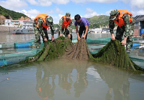 9月4日,在浙江溫嶺釣浜港,邊防民警幫助海上養(yǎng)殖戶修補(bǔ)網(wǎng)箱漏洞。 新華社發(fā)(郟策 攝)