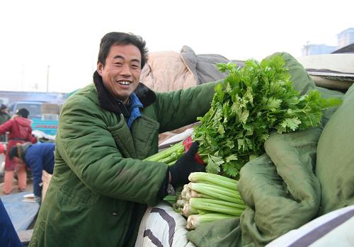 1月12日,在河北省邯鄲市某大型蔬菜批零市場(chǎng),一名蔬菜批零商在為顧客選購(gòu)的蔬菜裝車。新華社發(fā)(王九忠 攝)