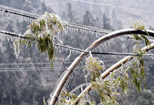 灌陽縣西山瑤族鄉(xiāng)北江村的一處輸電線路出現(xiàn)覆冰(1月8日攝)。新華社記者陳瑞華攝
