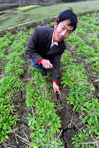 3月8日,四川廣安市鄰水縣御臨鎮(zhèn)茅白村村民在介紹菜地干裂情況。目前,四川省廣安、涼山、攀枝花、綿陽等地旱情持續(xù),春耕生產受到嚴重影響,當地政府和群眾積極抗旱,盡全力確保春耕。新華社發(fā)