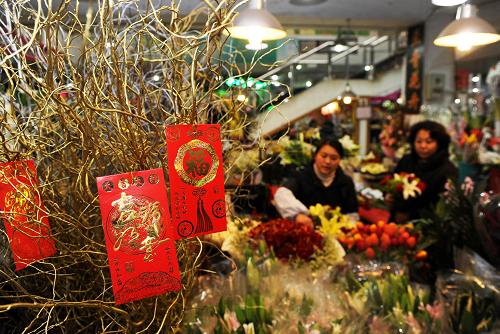 2月10日,青島南山花卉市場(chǎng)的花店員工(左)在布置花卉。新華社記者 李紫恒 攝
