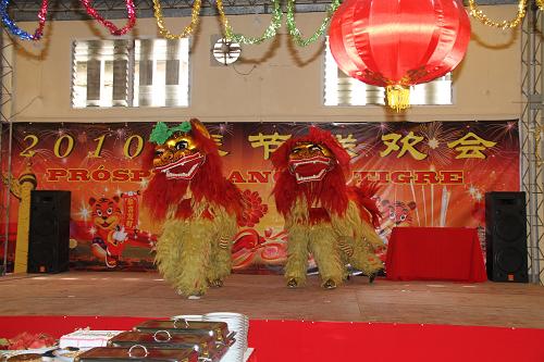 2月14日,莫桑比克華僑協(xié)會在馬普托舉行中國農歷虎年春節(jié)聯歡會。圖為聯歡會上的舞獅表演。新華社記者劉大龍攝