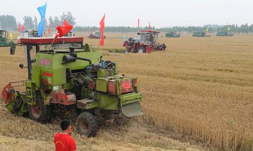6月1日,聯(lián)合收割機(jī)在河南省駐馬店市農(nóng)村收割小麥。當(dāng)日,2010年全國小麥跨區(qū)機(jī)收啟動儀式在河南省駐馬店市農(nóng)區(qū)舉行,這標(biāo)志著全國大規(guī)模的“三夏”機(jī)收大會戰(zhàn)由此全面展開。新華社記者 趙鵬 攝